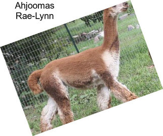 Ahjoomas Rae-Lynn