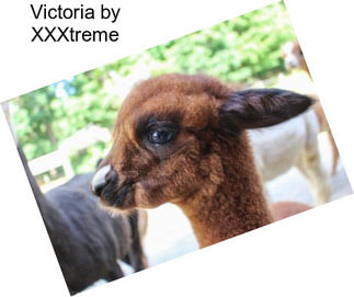 Victoria by XXXtreme