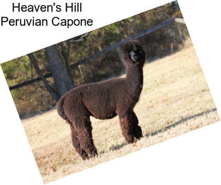 Heaven\'s Hill Peruvian Capone