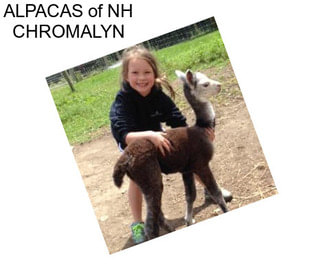 ALPACAS of NH CHROMALYN