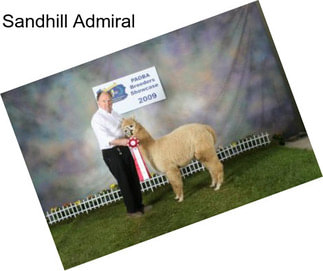 Sandhill Admiral