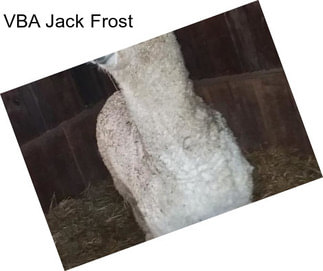 VBA Jack Frost