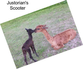 Justorian\'s Scooter