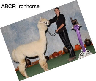 ABCR Ironhorse