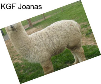 KGF Joanas