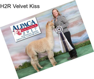 H2R Velvet Kiss