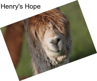 Henry\'s Hope