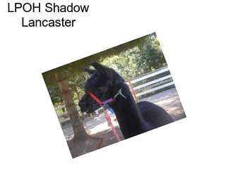 LPOH Shadow Lancaster