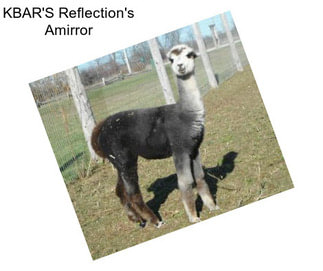 KBAR\'S Reflection\'s Amirror
