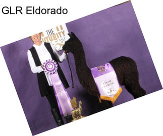 GLR Eldorado