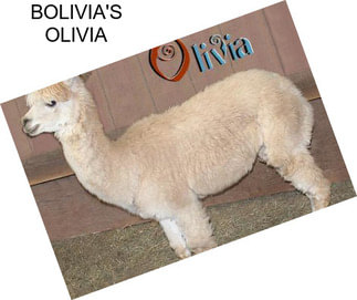BOLIVIA\'S OLIVIA