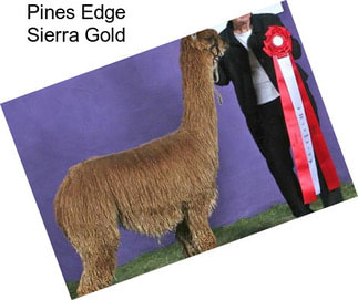 Pines Edge Sierra Gold