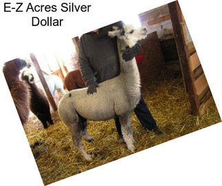E-Z Acres Silver Dollar