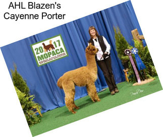 AHL Blazen\'s Cayenne Porter