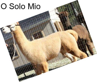 O Solo Mio