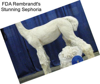 FDA Rembrandt\'s Stunning Sephoria