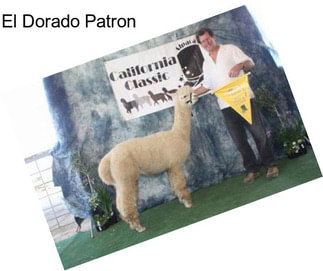 El Dorado Patron