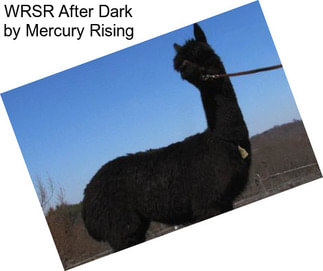 WRSR After Dark by Mercury Rising
