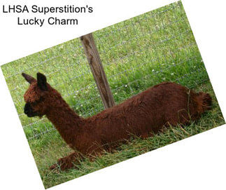 LHSA Superstition\'s Lucky Charm