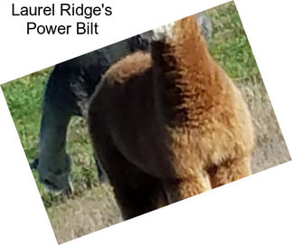 Laurel Ridge\'s Power Bilt