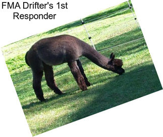 FMA Drifter\'s 1st Responder