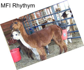 MFI Rhythym