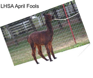 LHSA April Fools