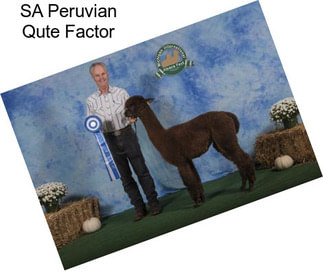 SA Peruvian Qute Factor
