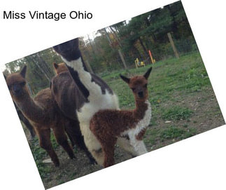 Miss Vintage Ohio