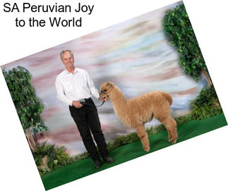 SA Peruvian Joy to the World