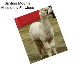 Smiling Moon\'s Absolutely Flawless