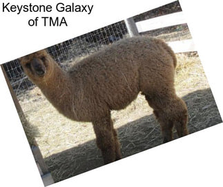 Keystone Galaxy of TMA