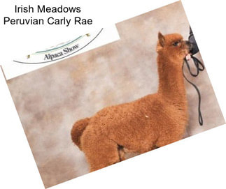 Irish Meadows Peruvian Carly Rae