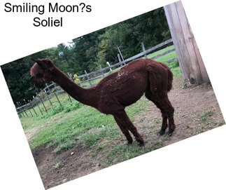 Smiling Moon?s Soliel