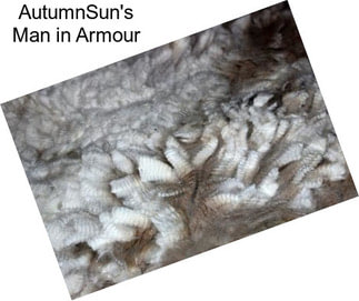 AutumnSun\'s Man in Armour