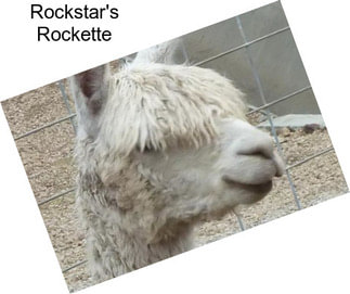 Rockstar\'s Rockette