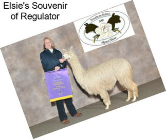 Elsie\'s Souvenir of Regulator