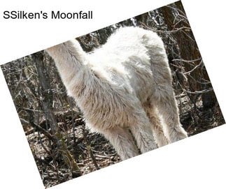 SSilken\'s Moonfall