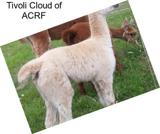 Tivoli Cloud of ACRF