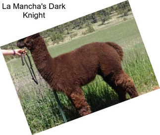 La Mancha\'s Dark Knight