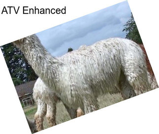 ATV Enhanced