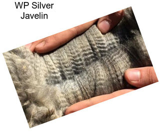 WP Silver Javelin
