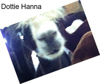 Dottie Hanna