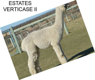 ESTATES VERTICASE II