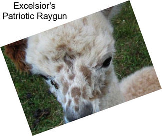Excelsior\'s Patriotic Raygun