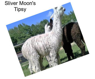 Sliver Moon\'s Tipsy