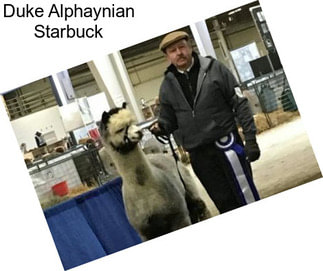 Duke Alphaynian Starbuck