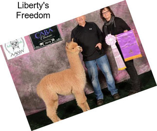 Liberty\'s Freedom