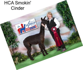 HCA Smokin\' Cinder