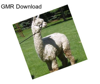 GMR Download